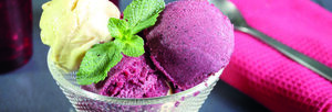 Coupe glacée vanille fruits rouges : le duo sorbet et crème glacée enrichi