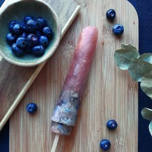 Sorbet myrtille enrichi : un dessert frais pour les petits appétits d'été