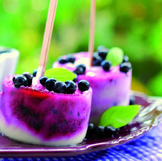 Bâtonnets glacés aux fruits frais : des glaces à l'eau enrichies faites maison
